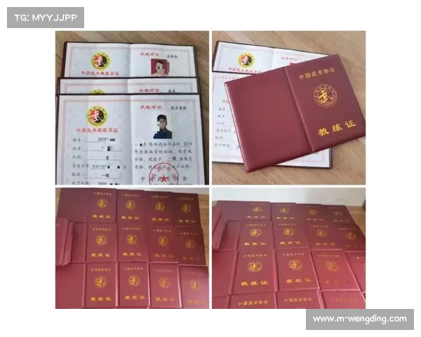 武术段位制改革实施满周年 境外获证人数激增300% 武术段位制改革实施满周年 境外获证人数激增300%